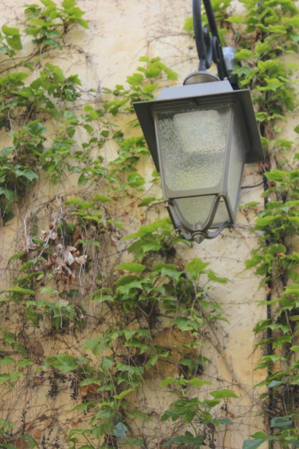 La Cour Villa Lourmarin Exterior foto